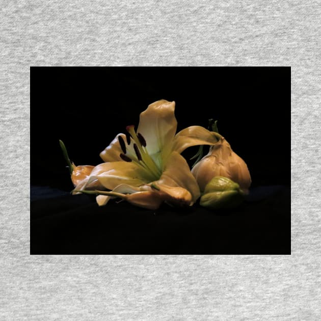 Garlic and Lilies - Baroque Inspired Dark Still Life Photo by GenAumonier